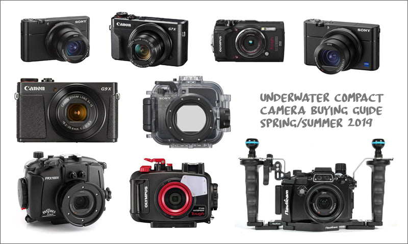 Buying guide: 2019 Underwater compact camera packages