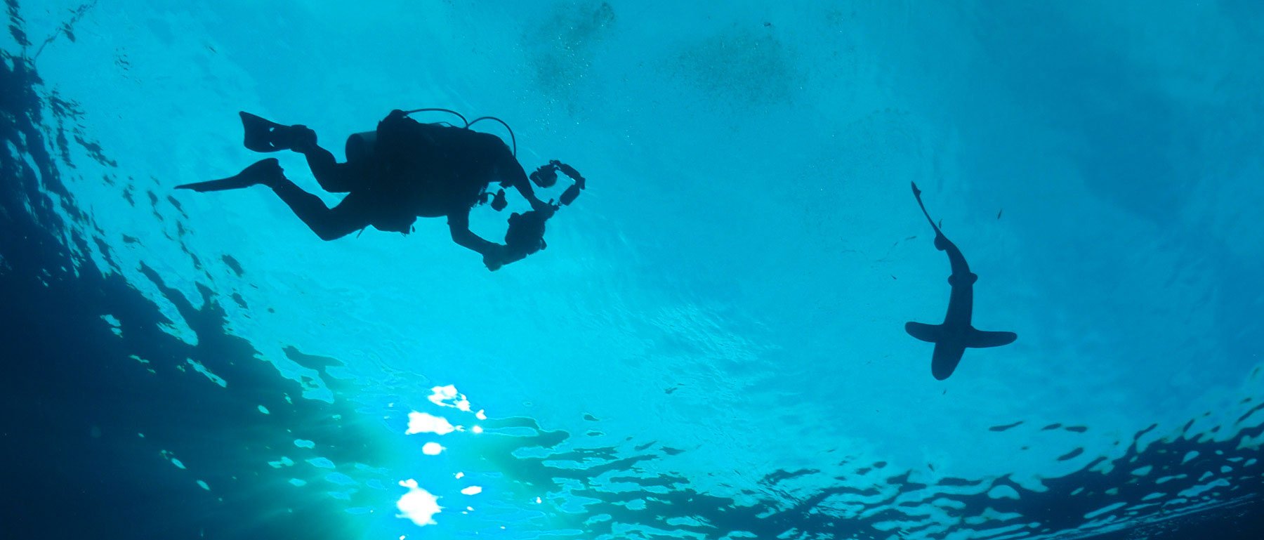 Mike's Dive Cameras UK's No1 Underwater Camera Store