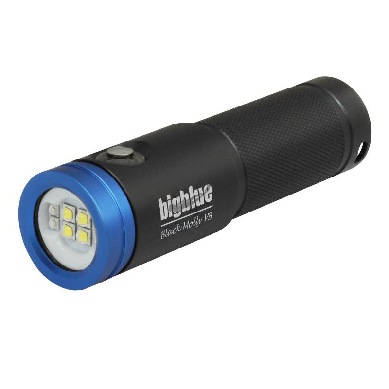 BigBlue AL2900XWPB Black Molly VB Video Light