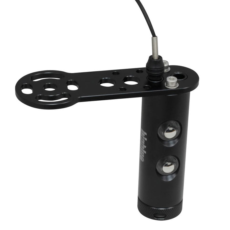 Bigblue Remote Control Kit for Lights